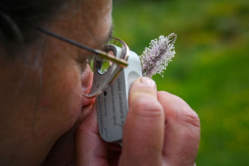 Wildlife big and small were observed and recorded.